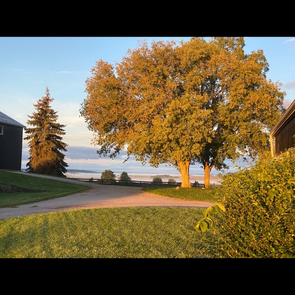 Meet your Posher, Scott - Picture 1 of 1